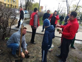 Посадкой кедров отметили в Нижнем Новгороде праздник весны и труда